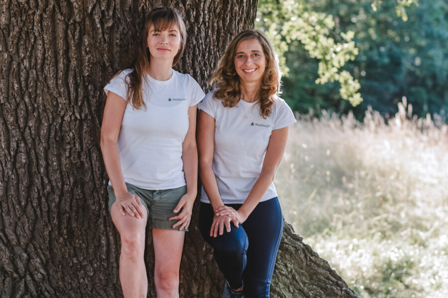 20230713_waldreich_sachsen_Grosser_Garten_Dresden_Waldbaden_015_web